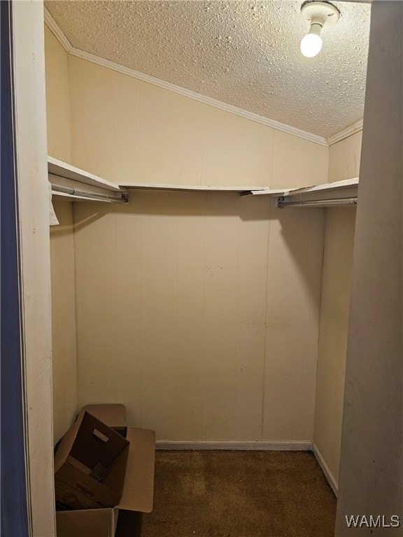 spacious closet with dark carpet and vaulted ceiling