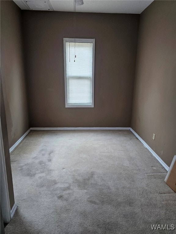 spare room with carpet