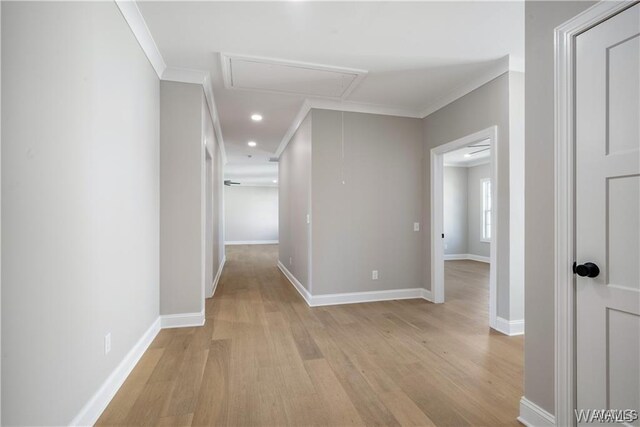 5930 Carleton Park Cir, Tuscaloosa, AL 35406 - corridor with attic access, baseboards, light wood-style floors, and ornamental molding