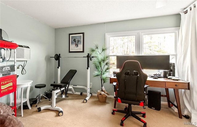 view of carpeted office space