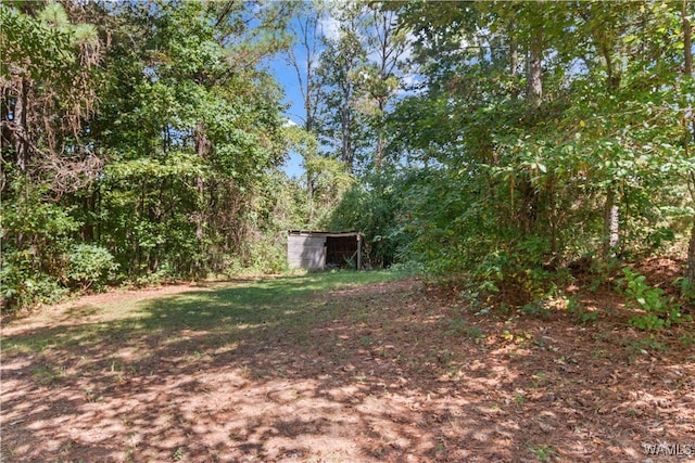 view of yard with an outbuilding