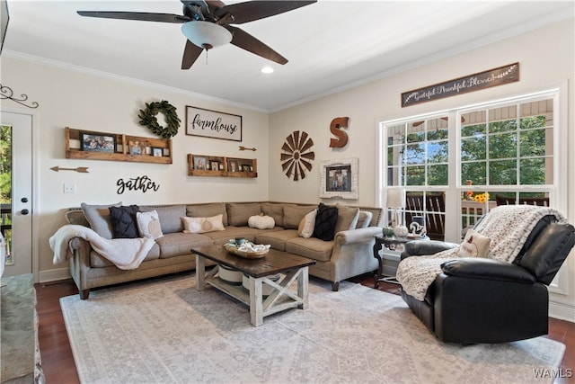 living room with hardwood / wood-style floors, ceiling fan, and ornamental molding