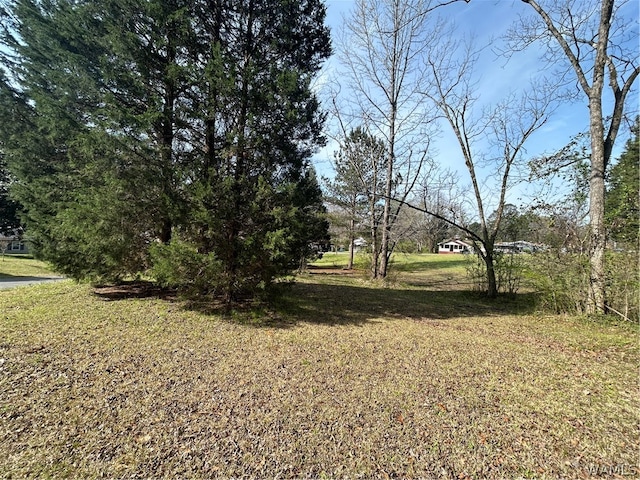 Listing photo 2 for 460 4th Ave NW, Fayette AL 35555