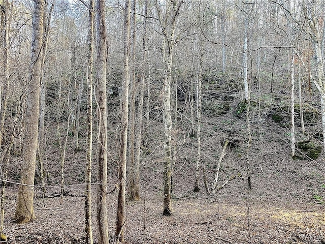 8648 Groundhog Rd, Adger, AL 35006