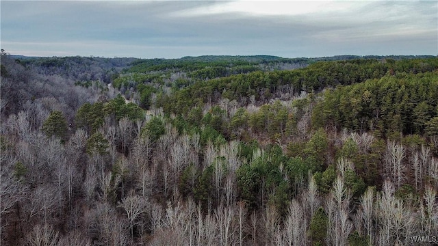 8648 Groundhog Rd, Adger, AL 35006
