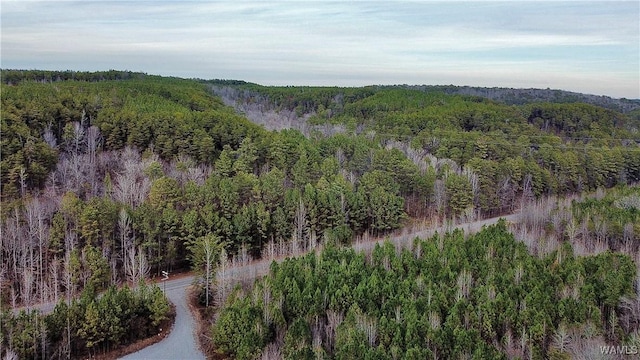 8648 Groundhog Rd, Adger, AL 35006