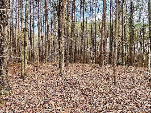 8648 Groundhog Rd, Adger, AL 35006