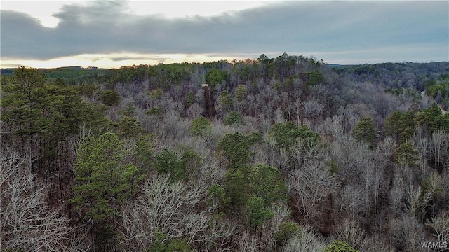 8648 Groundhog Rd, Adger, AL 35006