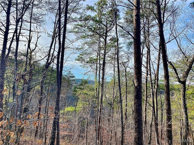 8648 Groundhog Rd, Adger, AL 35006