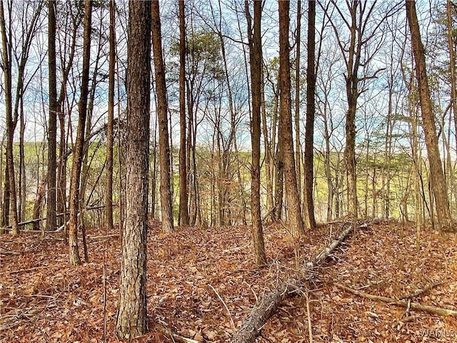 8648 Groundhog Rd, Adger, AL 35006