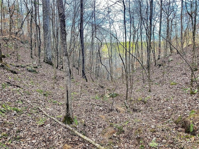 8648 Groundhog Rd, Adger, AL 35006