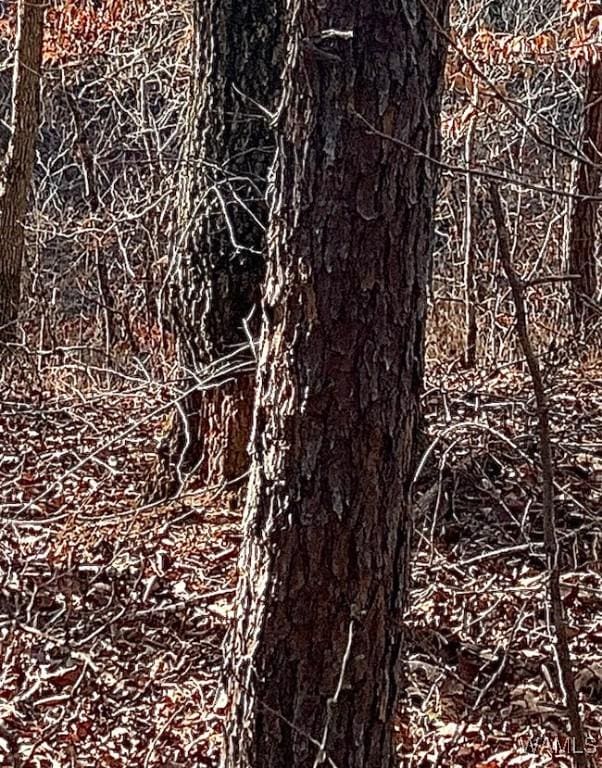 8648 Groundhog Rd, Adger, AL 35006