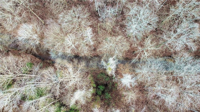 8648 Groundhog Rd, Adger, AL 35006
