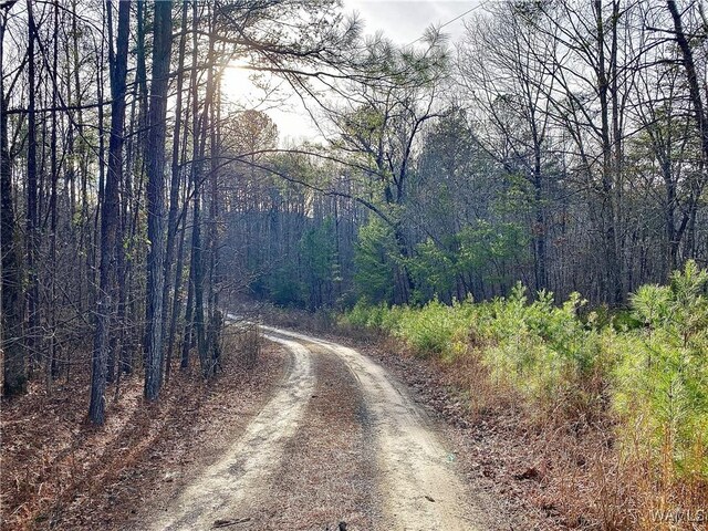 8648 Groundhog Rd, Adger, AL 35006