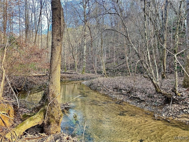 8648 Groundhog Rd, Adger, AL 35006