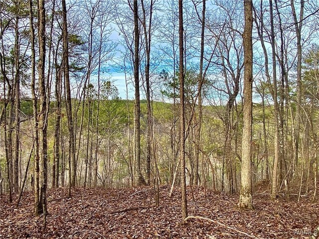 8648 Groundhog Rd, Adger, AL 35006