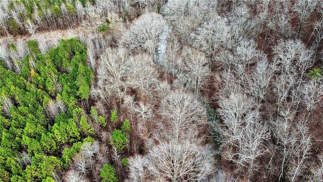 8648 Groundhog Rd, Adger, AL 35006