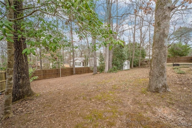 view of yard featuring a shed