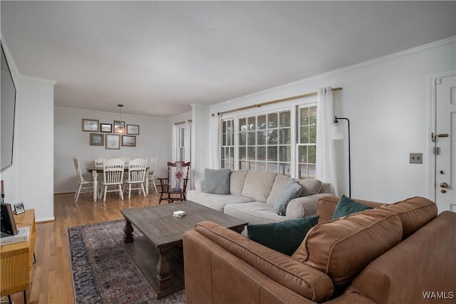 living room featuring crown molding and hardwood / wood-style floors