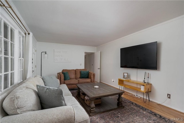 living room with ornamental molding and wood-type flooring