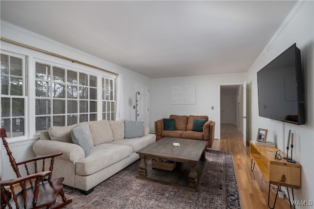 living room featuring hardwood / wood-style flooring and crown molding