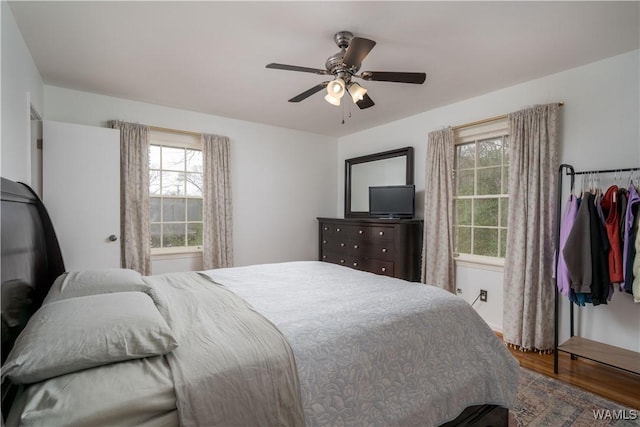 bedroom with multiple windows, hardwood / wood-style floors, and ceiling fan