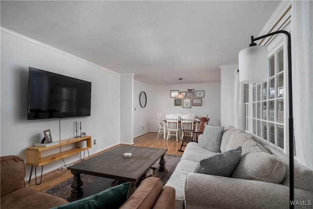 living room featuring crown molding and hardwood / wood-style flooring