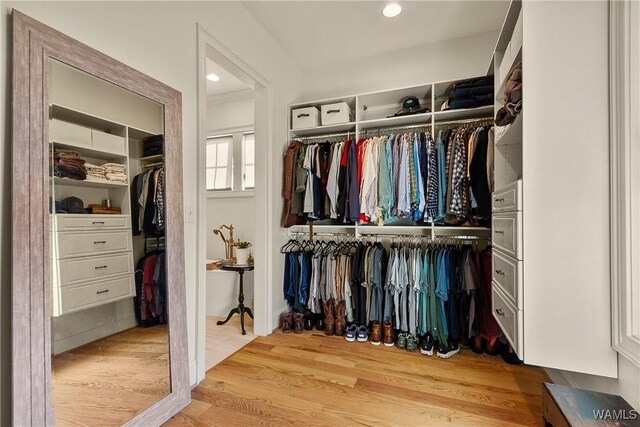 spacious closet with wood finished floors