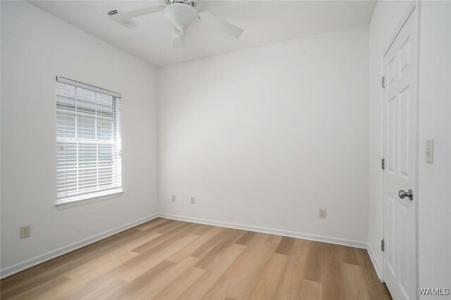 7049 Shadesbrook Dr, Tuscaloosa, AL 35405 - photo 21