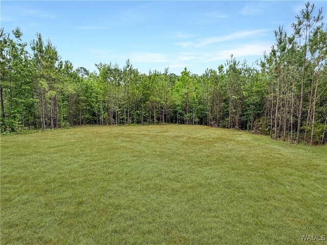 13860 Gilliam Rd, Berry, AL 35546 - photo 37