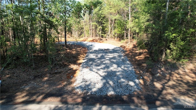 0 Snider Rd, Cottondale AL, 35453 land for sale