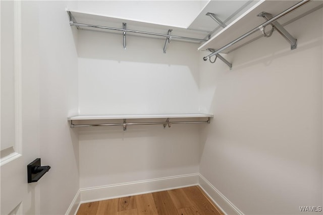 1300 Paul W Bryant Dr Unit 100, Tuscaloosa, AL 35401 - photo 18