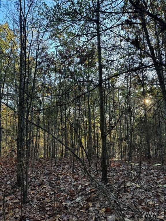 0 Bama Ln, Woodstock AL, 35188 land for sale