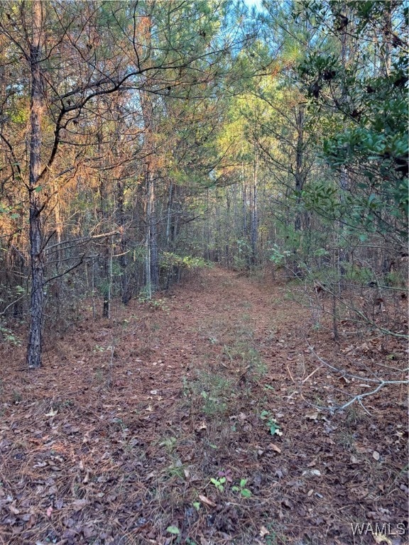 Listing photo 2 for 0 Bama Ln, Woodstock AL 35188