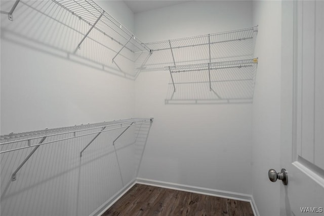 walk in closet featuring dark hardwood / wood-style floors