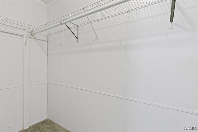 10463 Beulah Lake Ln, Cottondale, AL 35453 - view of walk in closet