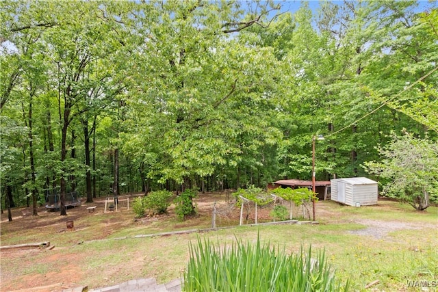 10463 Beulah Lake Ln, Cottondale, AL 35453 - view of yard featuring a shed and an outbuilding