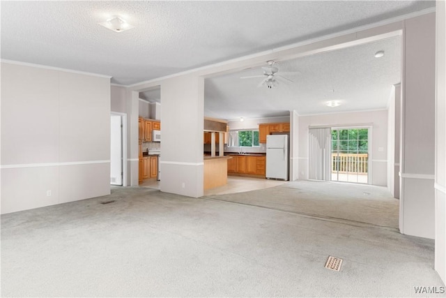 10463 Beulah Lake Ln, Cottondale, AL 35453 - unfurnished living room with crown molding, ceiling fan, light carpet, and a textured ceiling