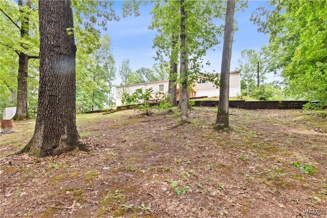 10463 Beulah Lake Ln, Cottondale, AL 35453 - view of yard