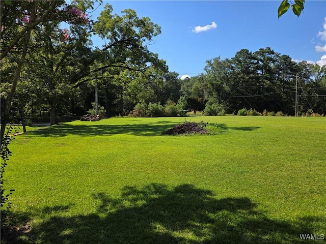 31082 Hwy 17, Reform, AL 35481 - photo 12