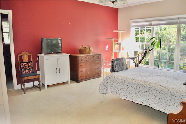 bedroom with light colored carpet