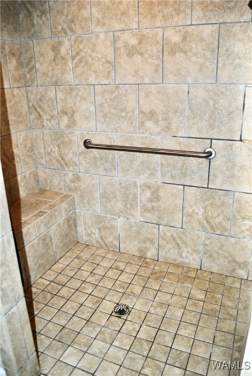 room details with tiled shower