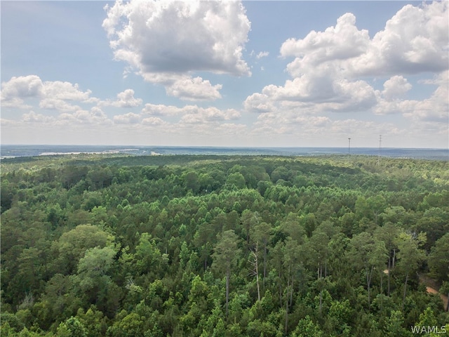 0 Hopewell Rd, Vance AL, 35490 land for sale