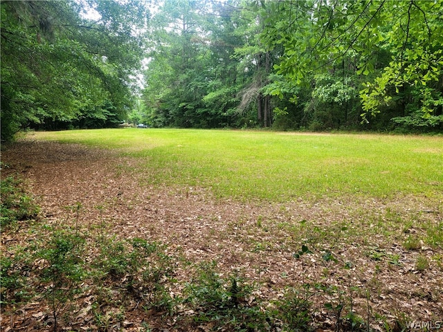 Listing photo 2 for 555 Homer Gore Rd, Ethelsville AL 35461