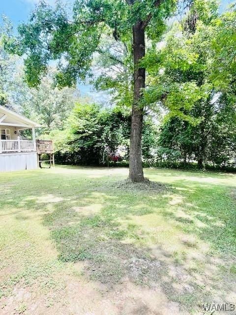 14194 Chapel Park Rd, Cottondale, AL 35453 - photo 3