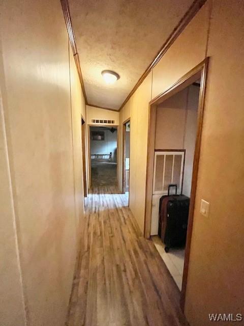 14194 Chapel Park Rd, Cottondale, AL 35453 - photo 14