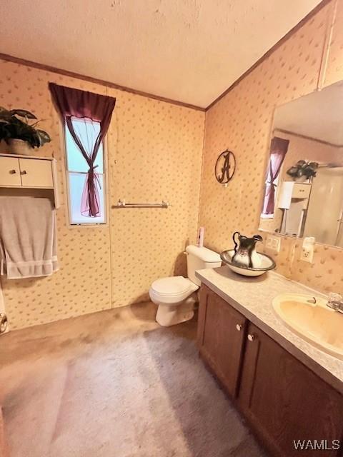 14194 Chapel Park Rd, Cottondale, AL 35453 - photo 19
