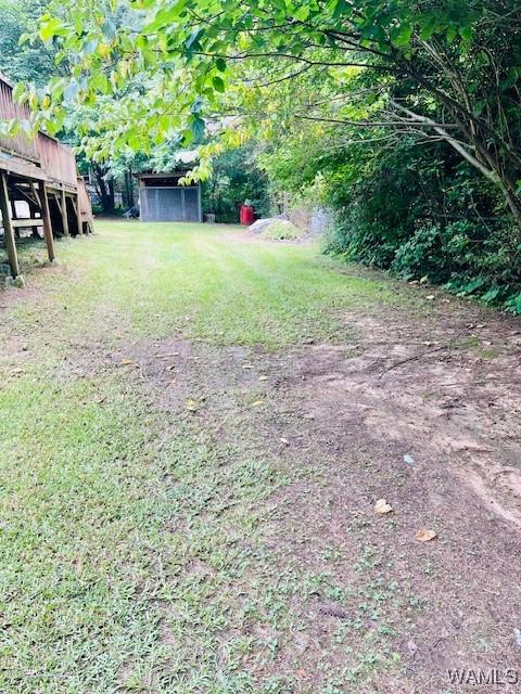 14194 Chapel Park Rd, Cottondale, AL 35453 - photo 25