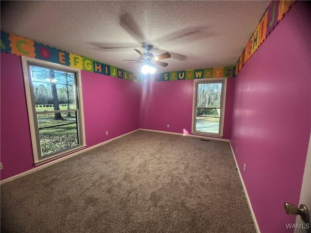 10882 Tingle Tangle Rd, Vance, AL 35490 - carpeted empty room with a wealth of natural light, ceiling fan, and a textured ceiling