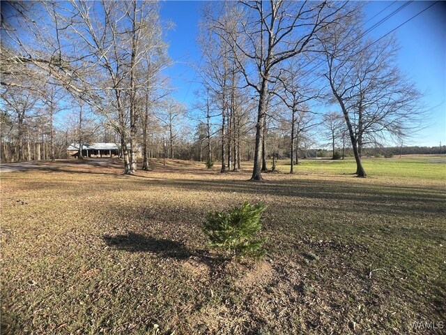 10882 Tingle Tangle Rd, Vance, AL 35490 - view of yard